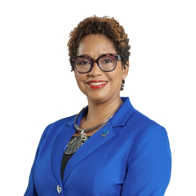 Ms. Camille Chevannes - General Counsel,  Legal ServicesMs. Camille Chevannes